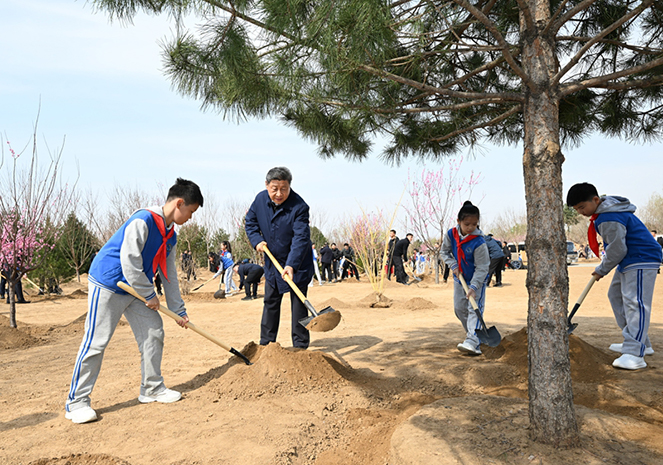 义务植树1.jpg